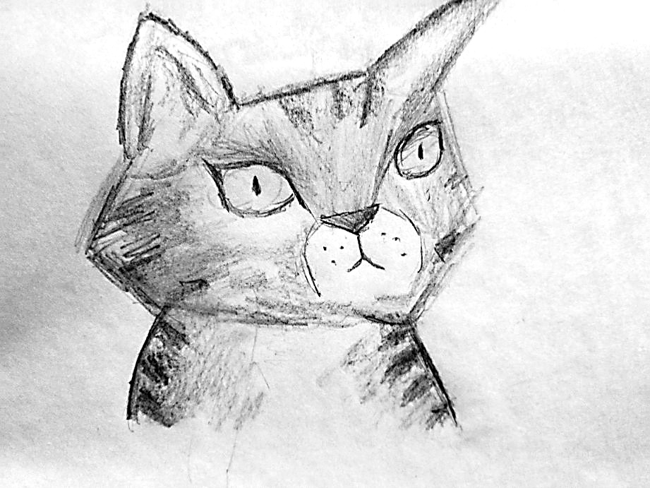 Calaverita a Rompope